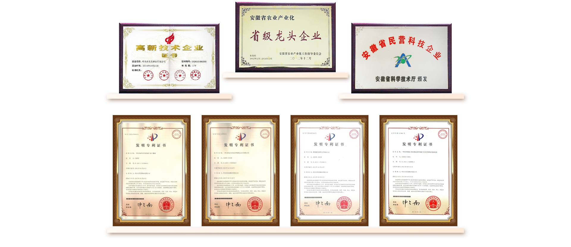 榮譽資質